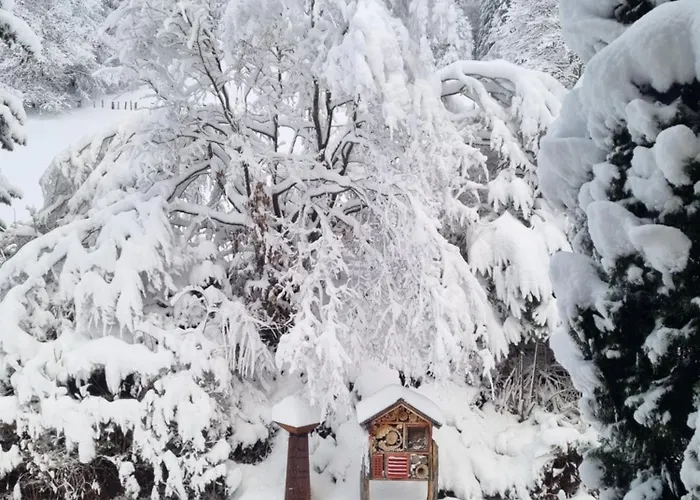 Daire Gruber Alexandra *